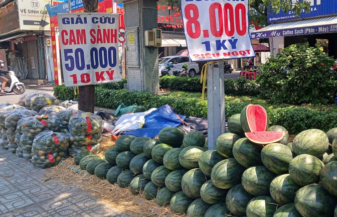 Nguyên nhân đằng sau đợt rớt giá hàng loạt của nông sản miền Tây và Tây Nguyên