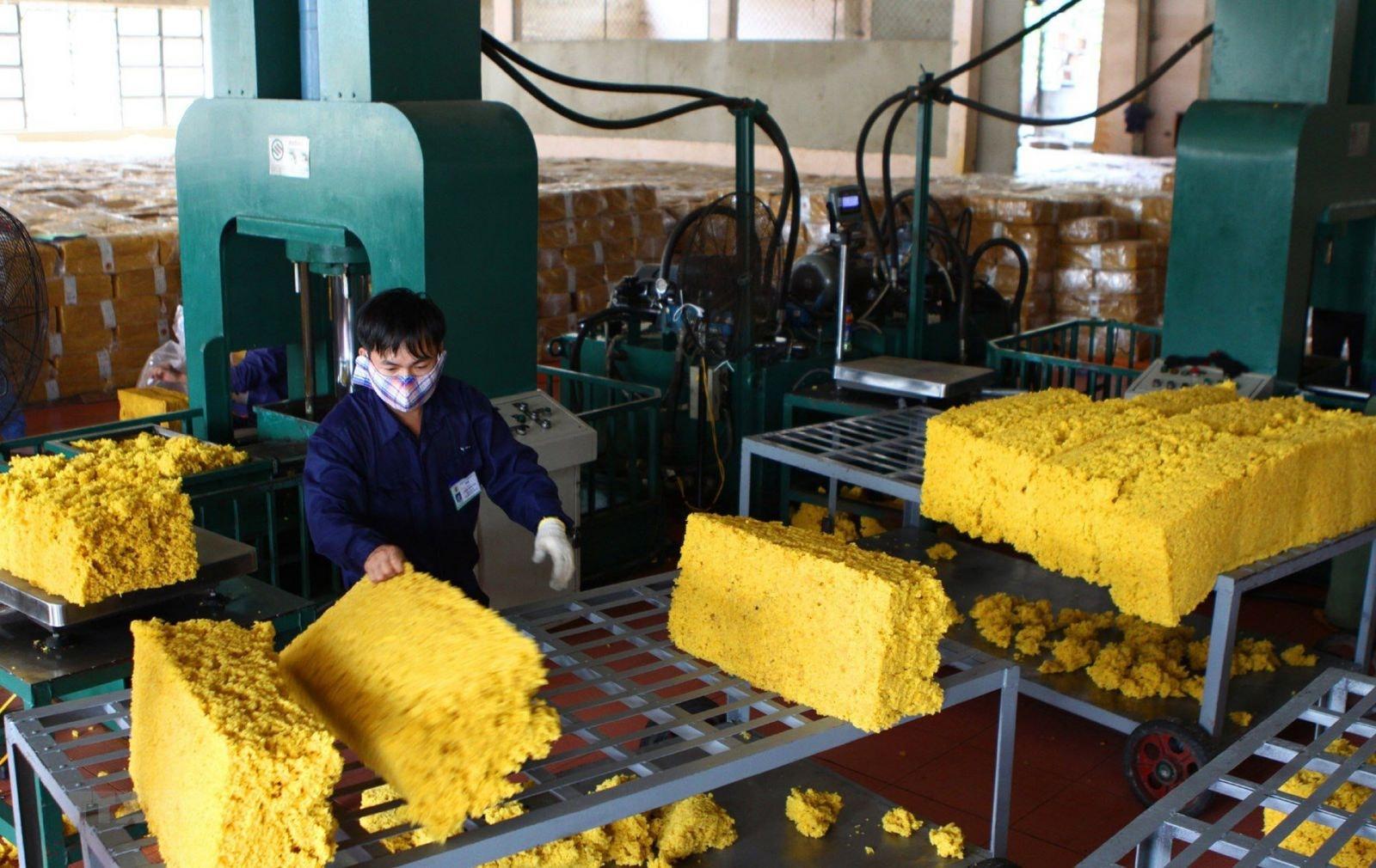Ngành cao su Việt trước nguy cơ thu hẹp thị phần tại các thị trường lớn