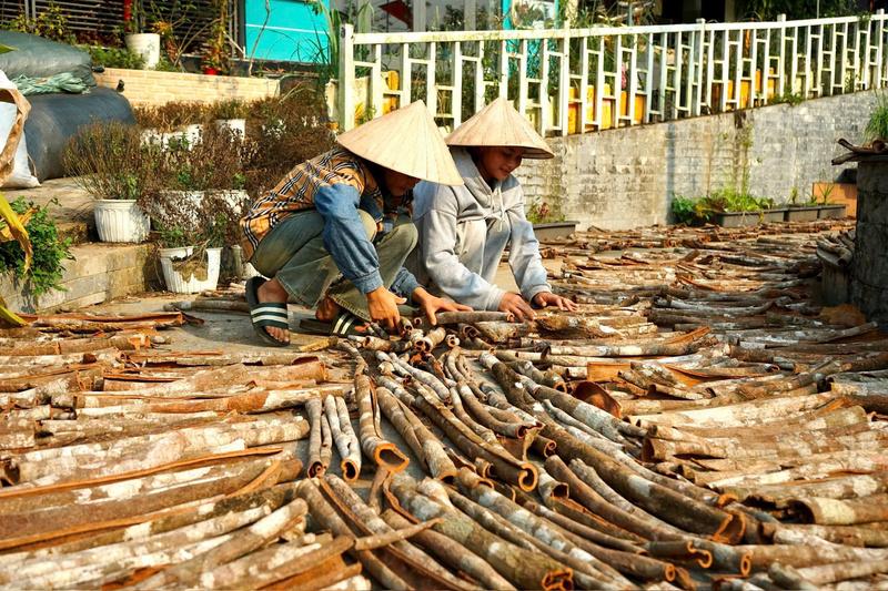 Quế Trà My thoát vòng luẩn quẩn nguyên liệu thô ra sao?