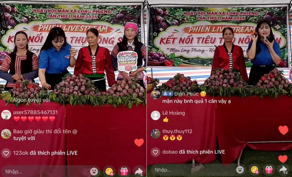 tmdt_1779093389.png