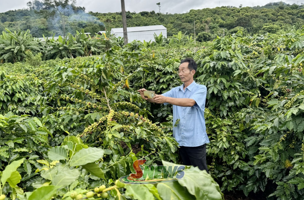 Giữ chuẩn chất lượng - Chìa khóa nâng tầm OCOP Sơn La Giữ chuẩn chất lượng - Chìa khóa nâng tầm OCOP Sơn La