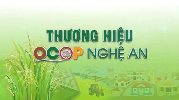 Nghệ An đẩy mạnh số hóa sản phẩm OCOP mở rộng thị trường qua thương mại điện tử