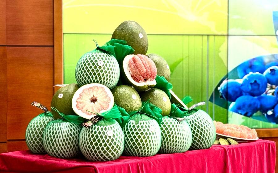 Bưởi tươi Việt Nam vừa gặp 'cú sốc' sau 5 tháng gia nhập thị trường Australia