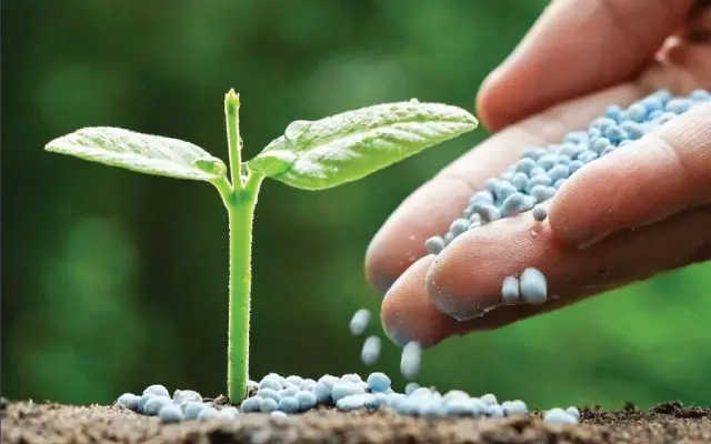 Tự chủ nguồn cung phân bón: "Lá chắn" giúp doanh nghiệp Việt vượt bão giá