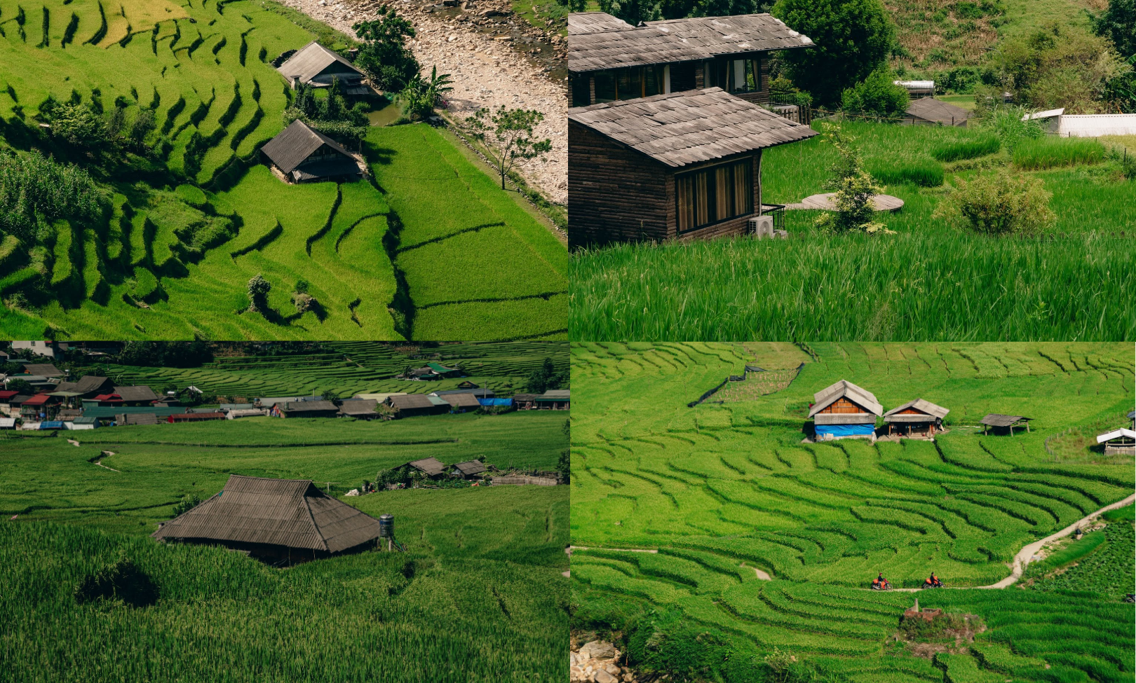 form-anh---nqs_1781865101.png
