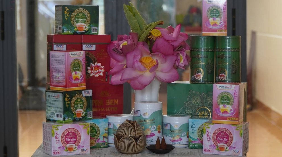Khai mạc Lễ hội Sen Đồng Tháp: “Về nghe Sen kể chuyện”