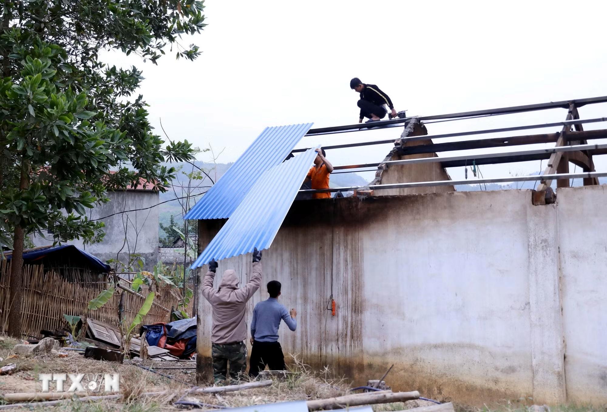 vn4_1787128942.jpg