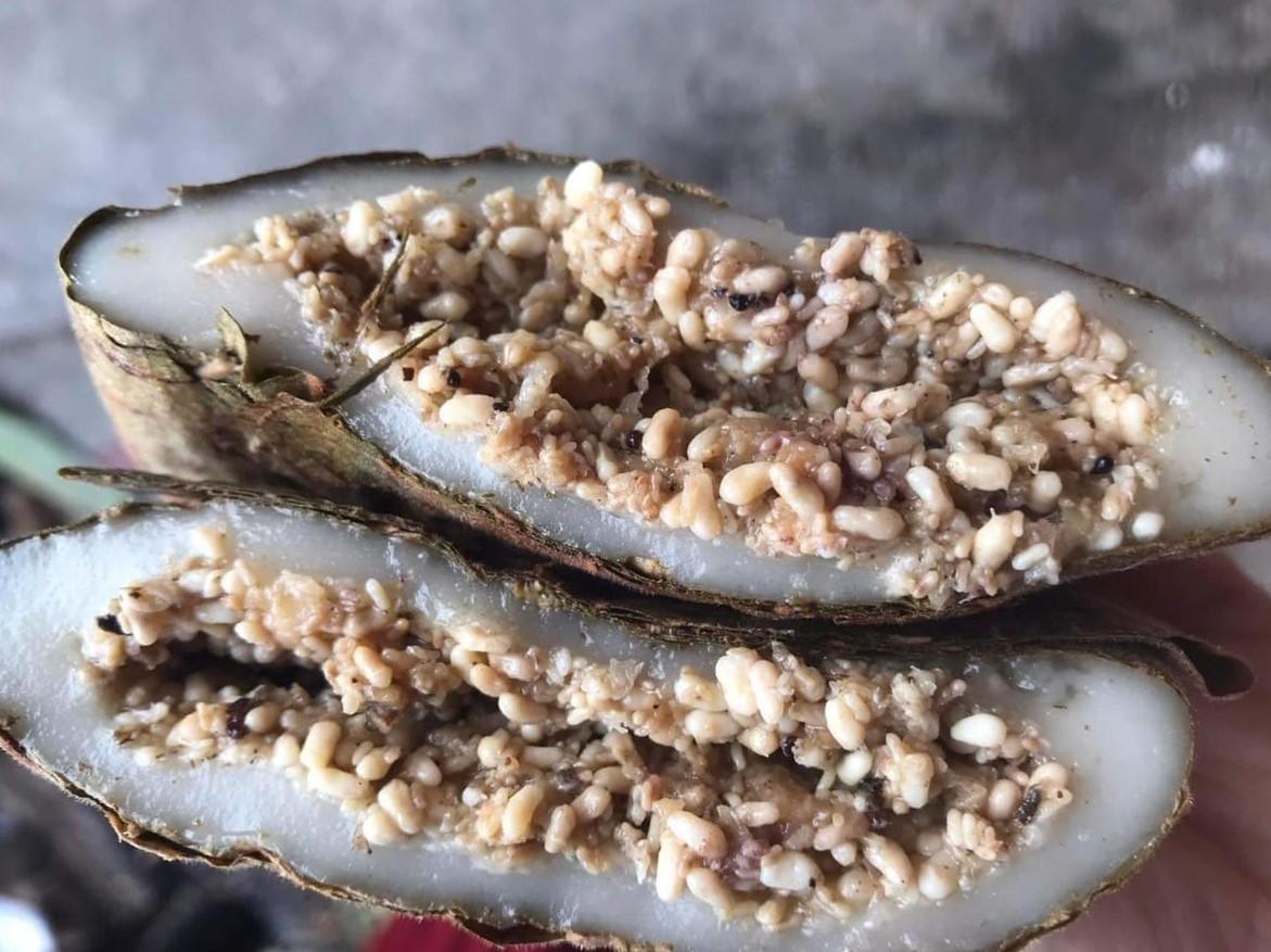 Cảnh báo trào lưu ẩm thực “gây sốc”: Đừng biến sự tò mò thành rủi ro sức khỏe