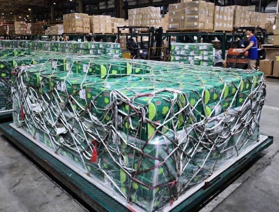 Tập đoàn 8 tỷ USD thuê máy bay chở gần 100 tấn rau quả Việt sang Trung Đông