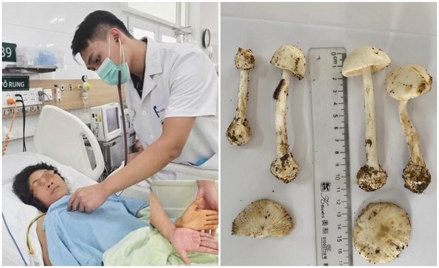 5 người nhập viện, 1 người tử vong sau ăn nấm rừng ở Sơn La