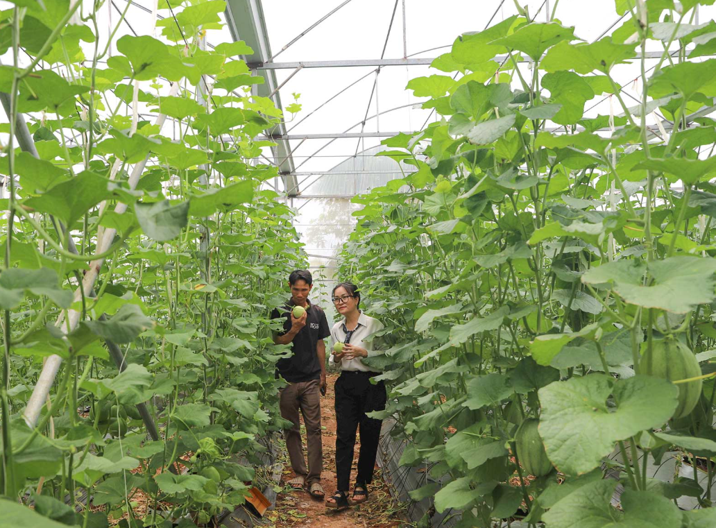 Nông nghiệp công nghệ cao mở lối cho du lịch trải nghiệm Nông nghiệp công nghệ cao mở lối cho du lịch trải nghiệm