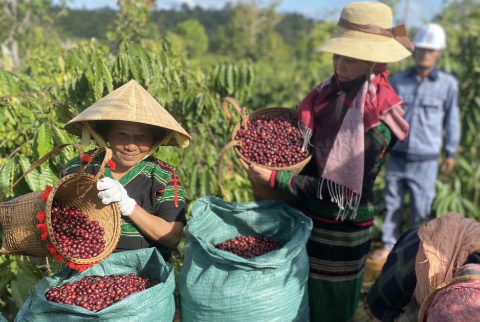 Gieo lại giá trị từ gốc Gieo lại giá trị từ gốc