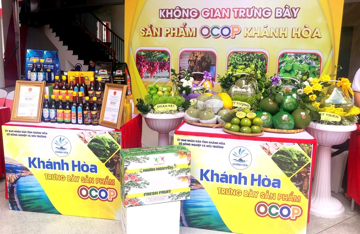 khanhhoa_1784540360.png