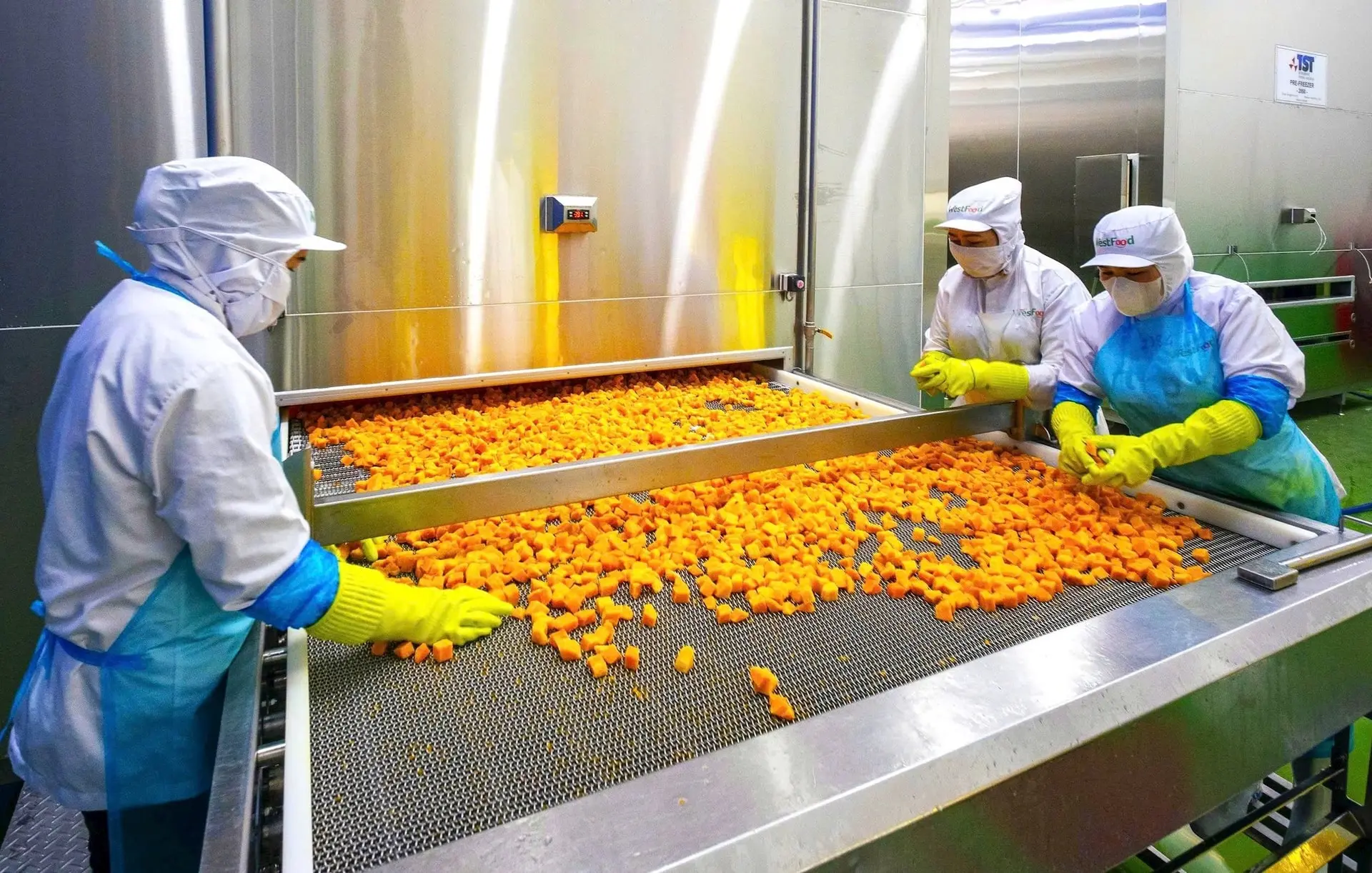 Công nghệ sau thu hoạch mở đường cho nông sản Việt vươn xa