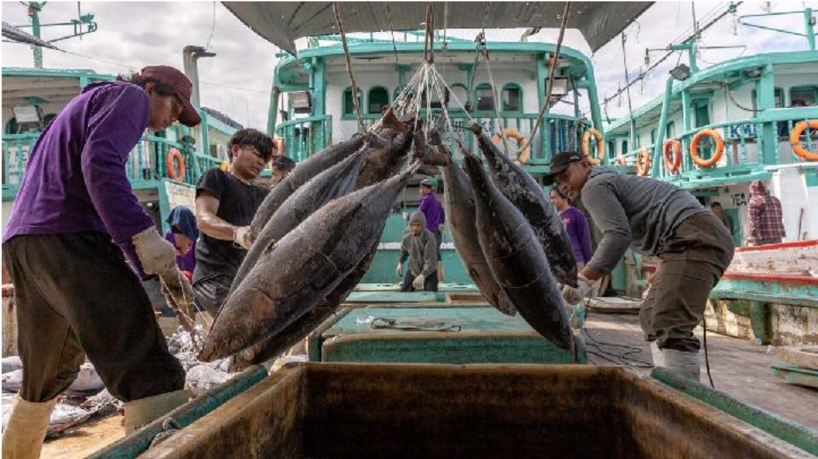 Nền kinh tế lớn nhất Đông Nam Á giảm hơn 41% xuất khẩu thủy sản do xung đột Mỹ - Iran, Việt Nam vẫn là thị trường trọng điểm