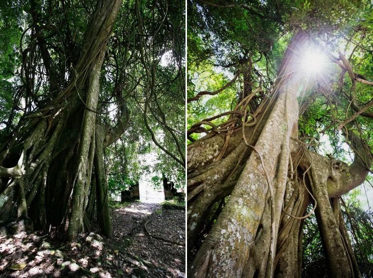 ltr12_1779338498.jpg