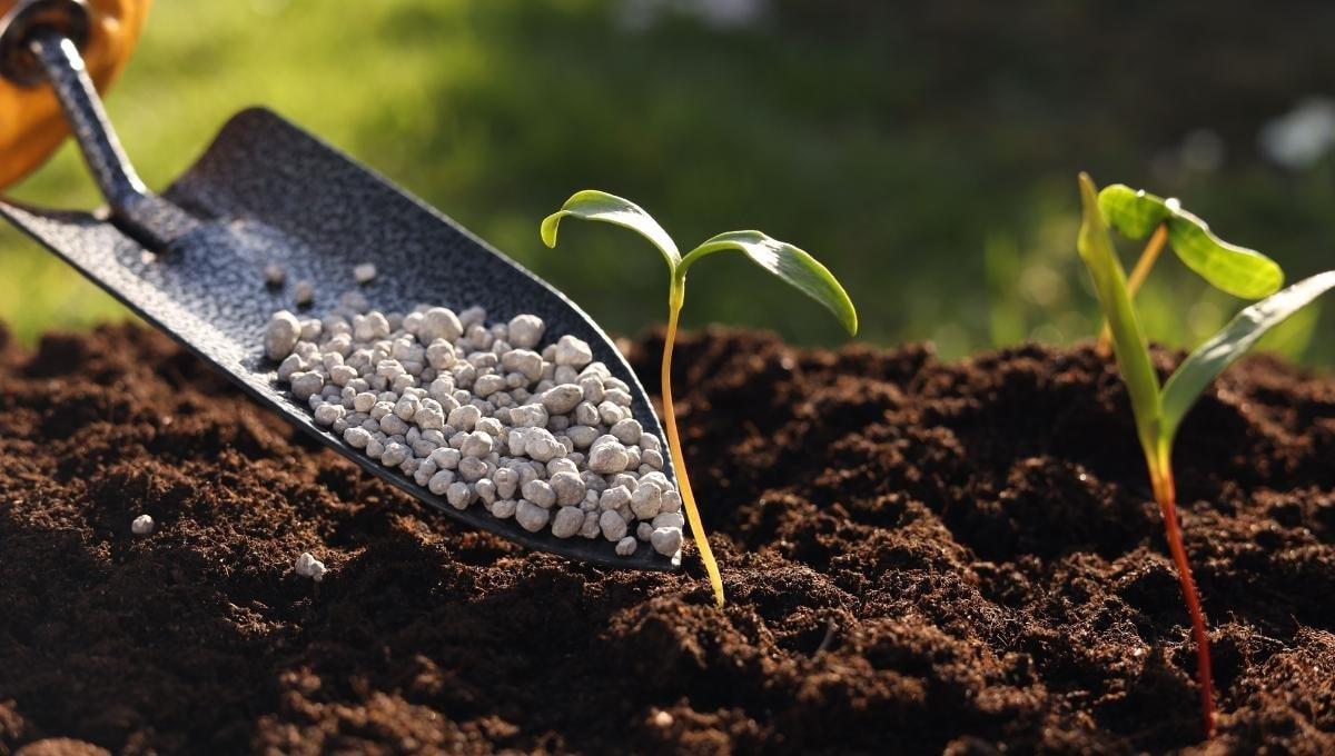 Thị trường phân bón: Giá đạm ure bám sát xu thế chững lại của toàn cầu