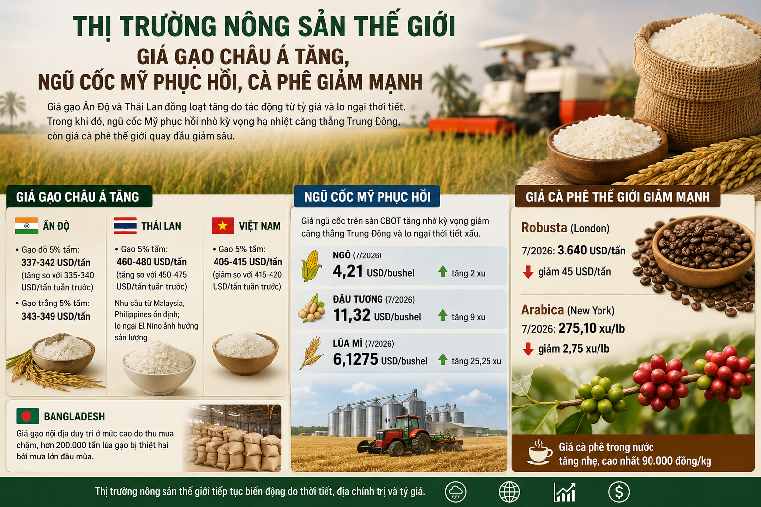 Giá gạo châu Á đồng loạt tăng, thị trường nông sản toàn cầu chịu tác động từ thời tiết và địa chính trị