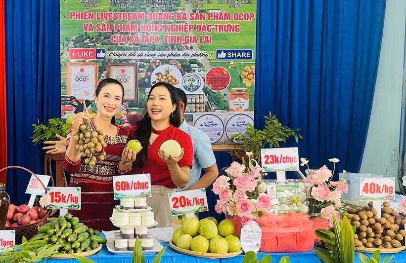 Nông sản Gia Lai: Từ ruộng đồng lên sàn số Nông sản Gia Lai: Từ ruộng đồng lên sàn số