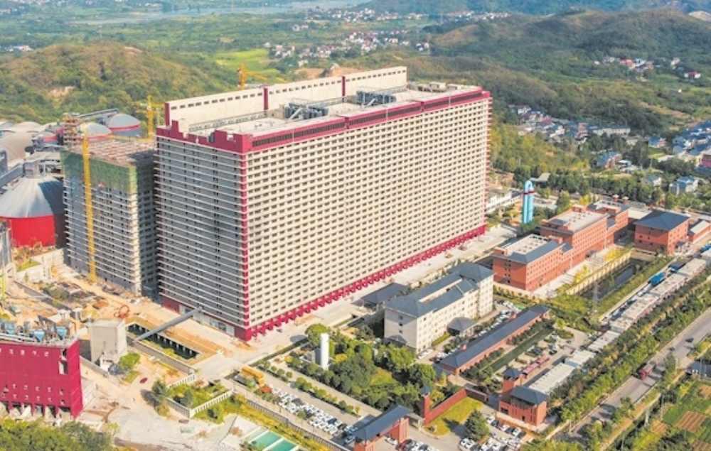 Láng giềng Việt Nam xây tòa nhà 26 tầng làm 'trang trại nuôi lợn lớn nhất thế giới': Mỗi năm xuất chuồng 1,2 triệu con, người dân 'mua thịt rẻ hơn mua rau'