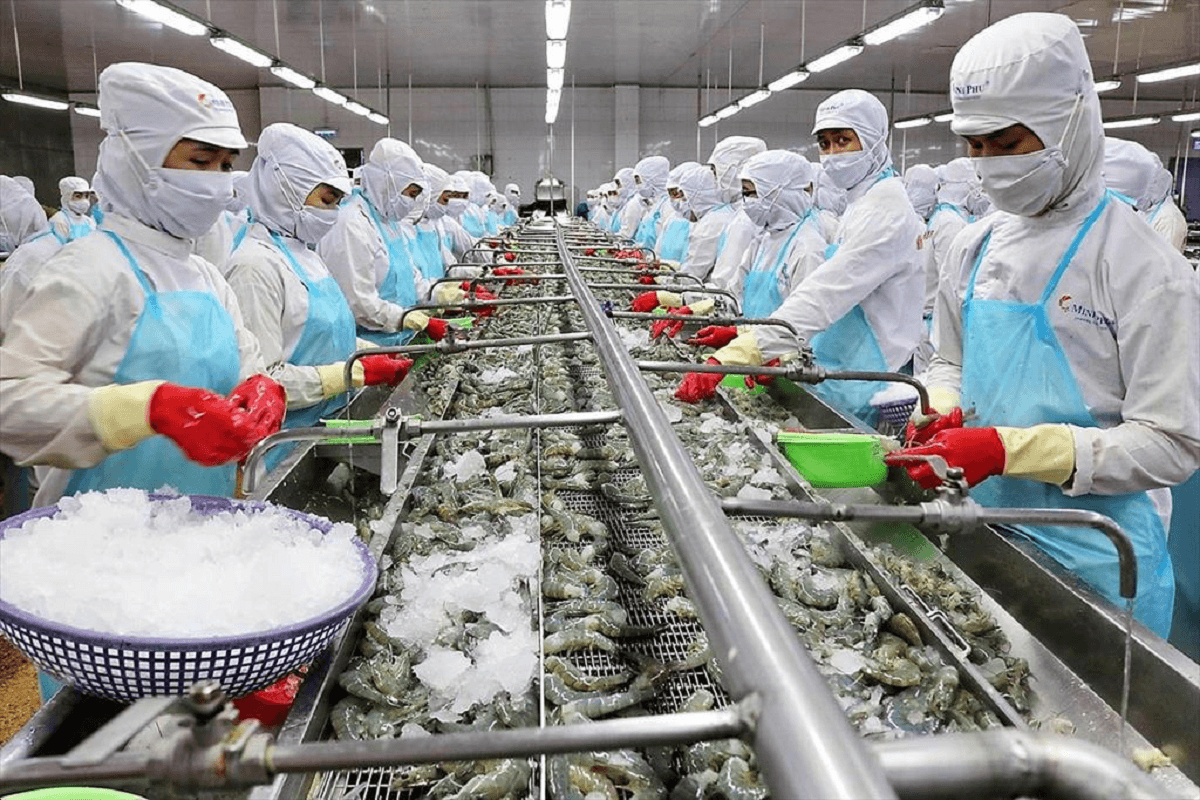 Doanh nghiệp thủy sản khai thác dư địa tăng trưởng trên sân nhà