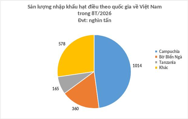 nhap-dieu_1789954594.jpg