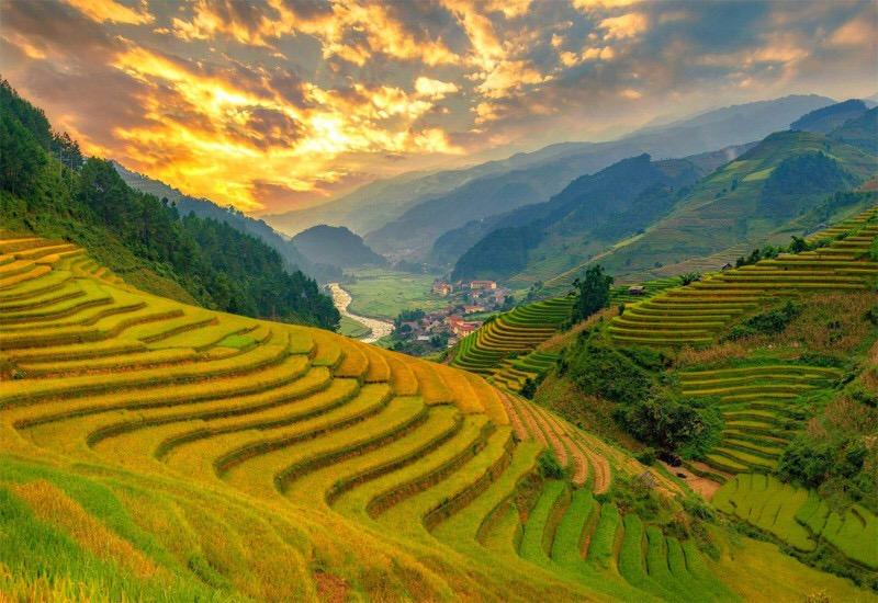 ruongbacthang20_1789979541.jpg