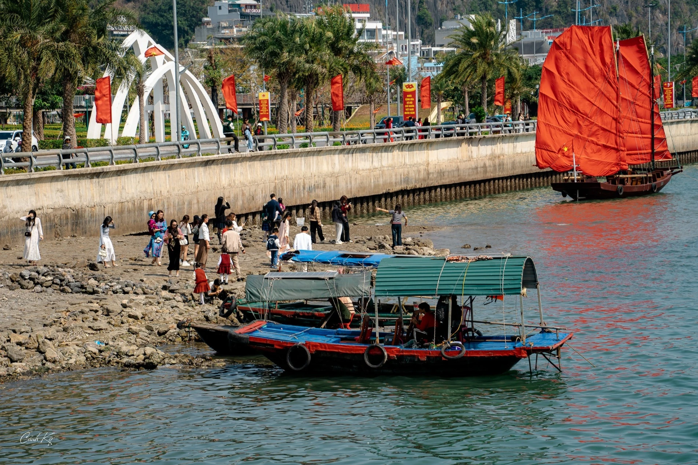 Tin vui: Tất cả người dân được miễn phí dịch vụ này tại vịnh biển 'trong mơ' của Việt Nam
