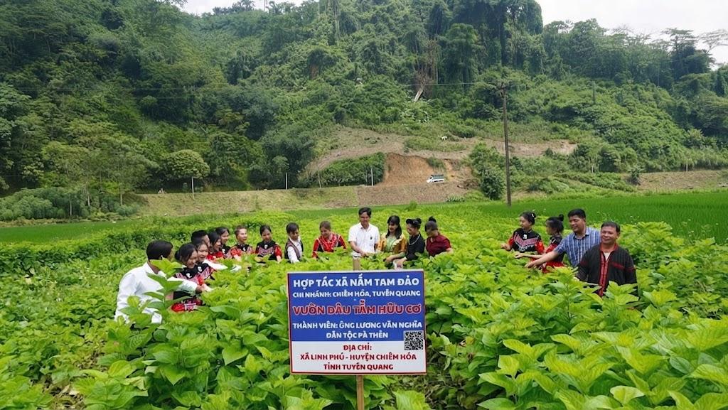Khi nông trại trở thành điểm đến du lịch giàu trải nghiệm