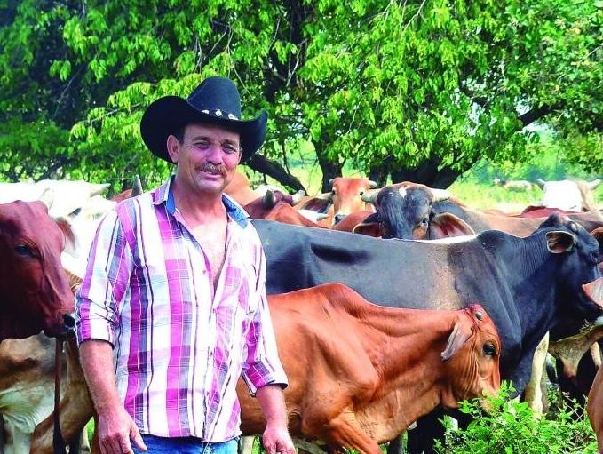 Ở Cuba có ông nông dân nuôi đàn bò khổng lồ 117 con, hiện nhà cung cấp thịt lớn nhất ở một tỉnh và nói rõ mong muốn lớn Ở Cuba có ông nông dân nuôi đàn bò khổng lồ 117 con, hiện nhà cung cấp thịt lớn nhất ở một tỉnh và nói rõ mong muốn lớn