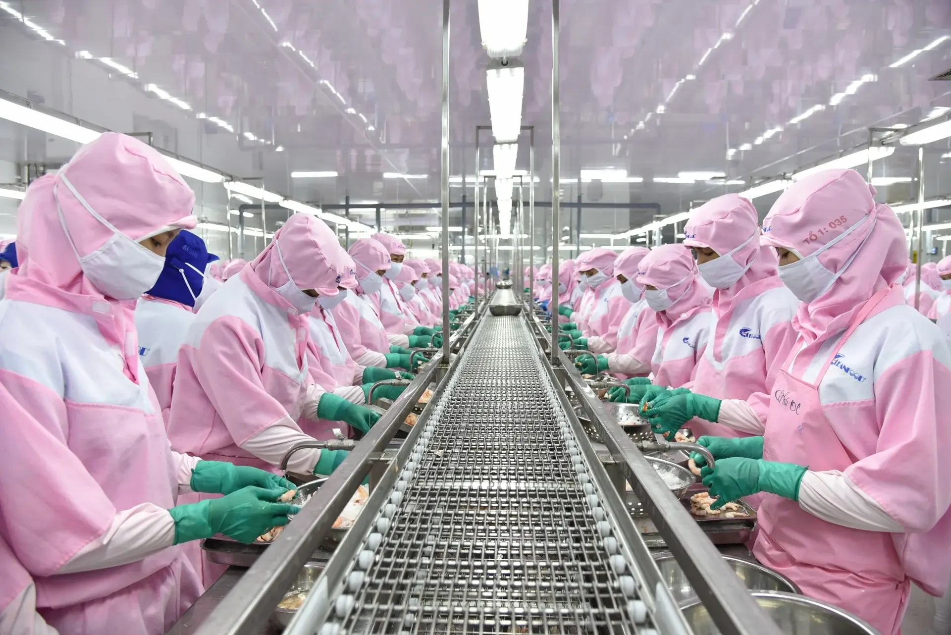 Minh bạch – Trách nhiệm – Bền vững: Trục phát triển mới của xuất khẩu thủy sản