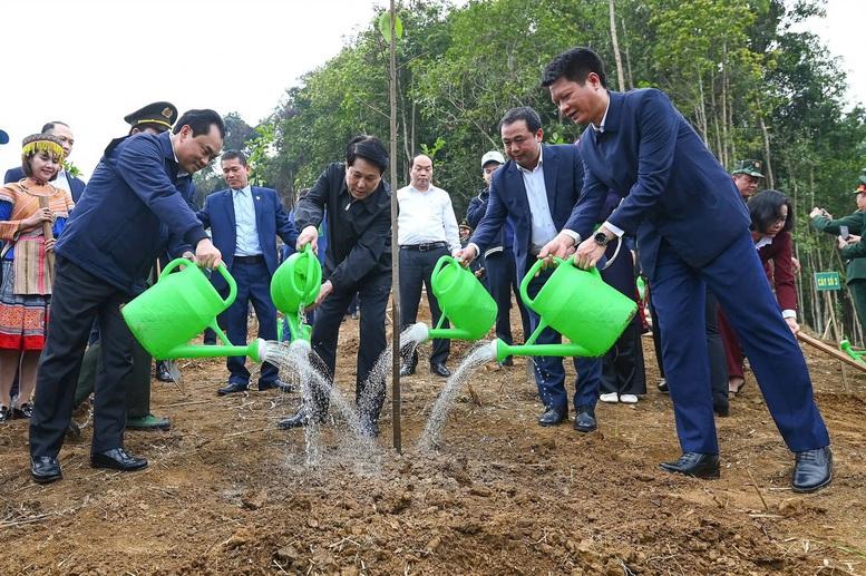 Chủ tịch nước dự lễ phát động Tết trồng cây năm 2026