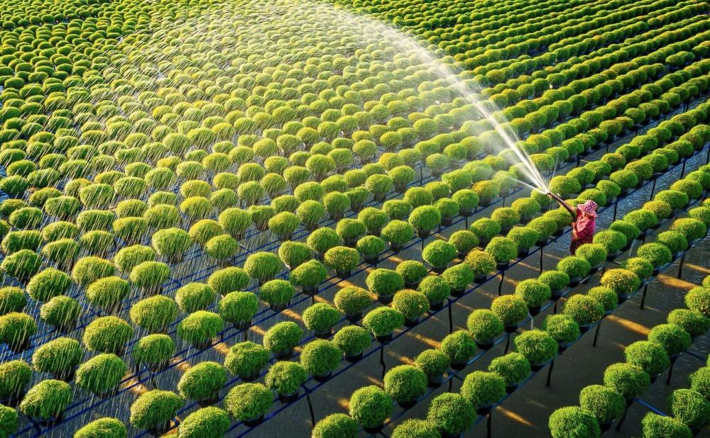 Thanh Hóa: Khi nông nghiệp trở thành “trải nghiệm sống” của du lịch hiện đại