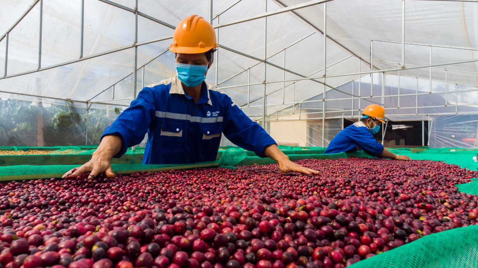 Chi phí leo thang, đầu ra chững lại: Nông nghiệp buộc chuyển từ sản lượng sang giá trị