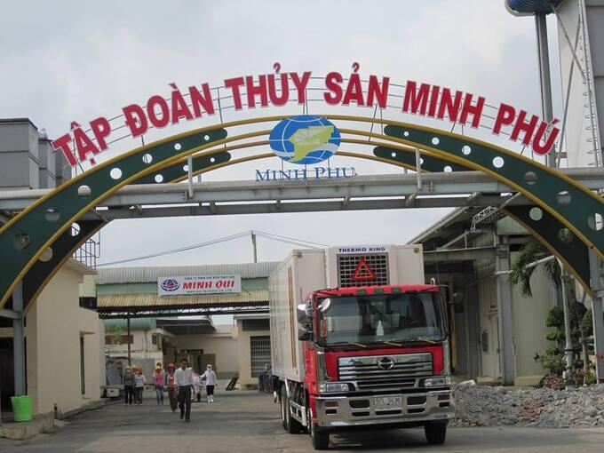 Nghịch lý thị trường tôm và chiến lược biến thách thức thành lợi thế cạnh tranh của Minh Phú Nghịch lý thị trường tôm và chiến lược biến thách thức thành lợi thế cạnh tranh của Minh Phú