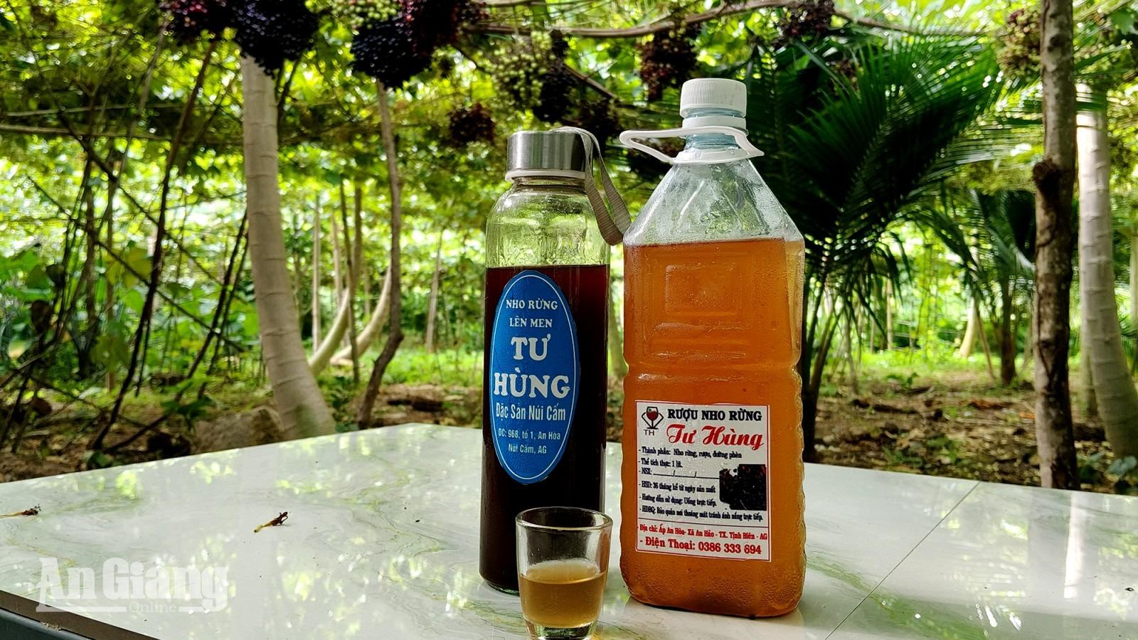 Từ nho rừng mọc hoang đến sản phẩm du lịch ở Núi Cấm