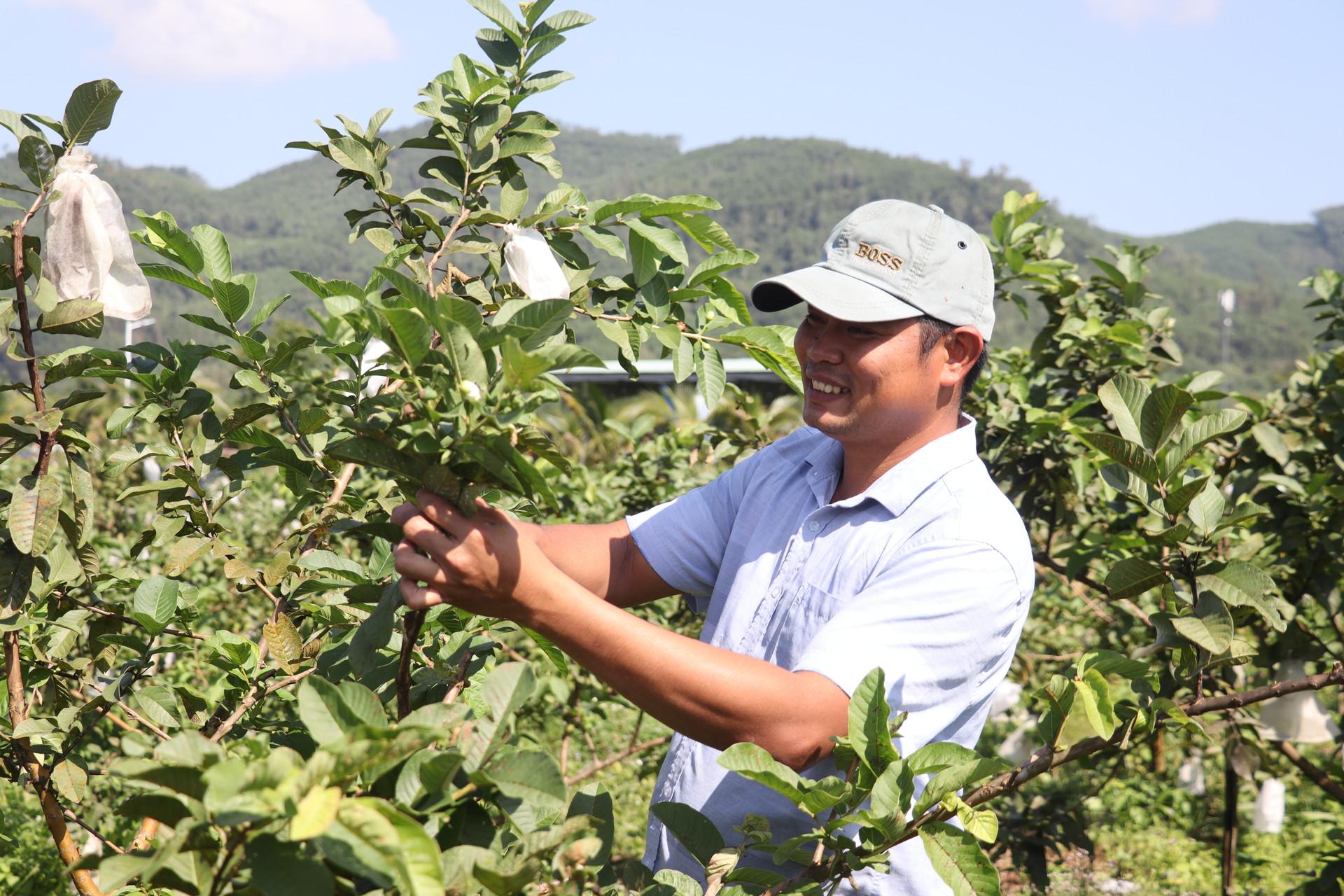 Khi đất gò đồi bỏ hoang trở thành mô hình khởi nghiệp nông nghiệp