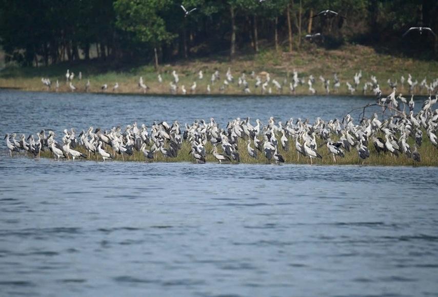 Phá Hạc Hải: Điểm đến mới cho du lịch trải nghiệm và bảo tồn sinh quyển