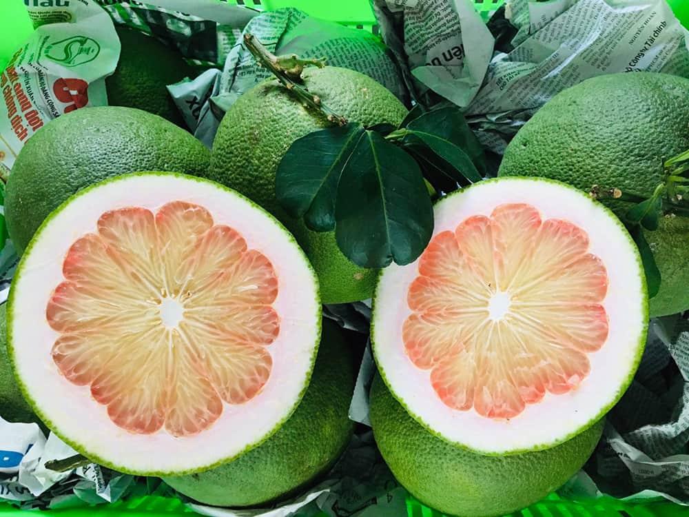 Bưởi, chanh Việt xuất khẩu chính ngạch sang Trung Quốc: Cơ hội lớn đi cùng “cuộc chơi” tiêu chuẩn
