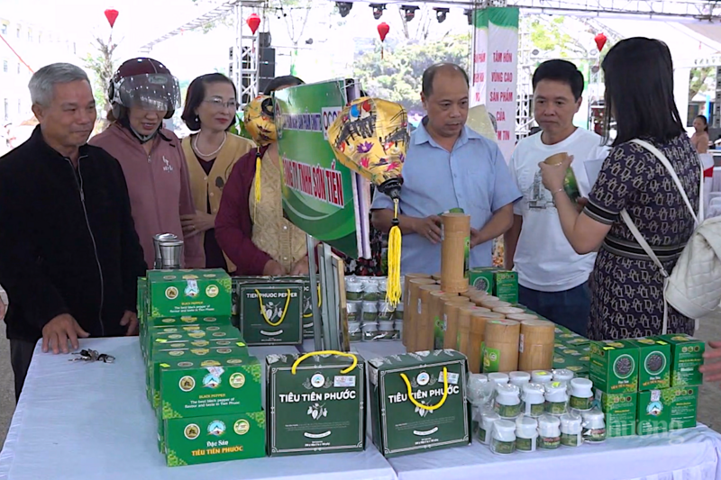 Cấp chứng nhận chỉ dẫn địa lý “Tiên Phước” đối với hạt tiêu Đà Nẵng Cấp chứng nhận chỉ dẫn địa lý “Tiên Phước” đối với hạt tiêu Đà Nẵng