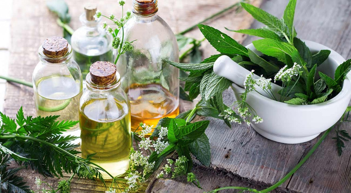 Hệ sinh thái sản phẩm thiên nhiên thông minh: Bước chuyển mình chiến lược của khoa học Việt Nam