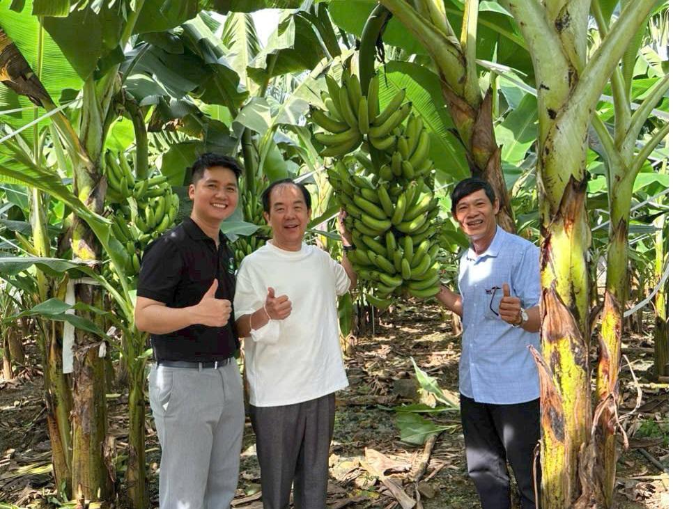 Thương hiệu không mọc tự nhiên Thương hiệu không mọc tự nhiên
