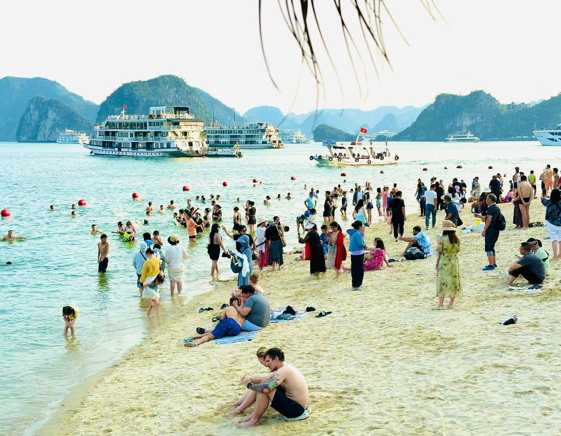 Điểm đến nào hút tìm kiếm nhất mùa du lịch hè 2026? Điểm đến nào hút tìm kiếm nhất mùa du lịch hè 2026?