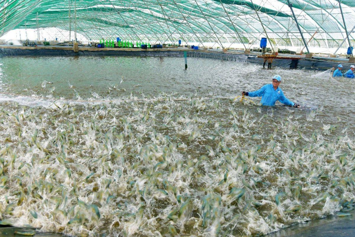 Trung Quốc chi gần 30.000 tỷ gom sạch 'mỏ vàng' dưới biển của Việt Nam