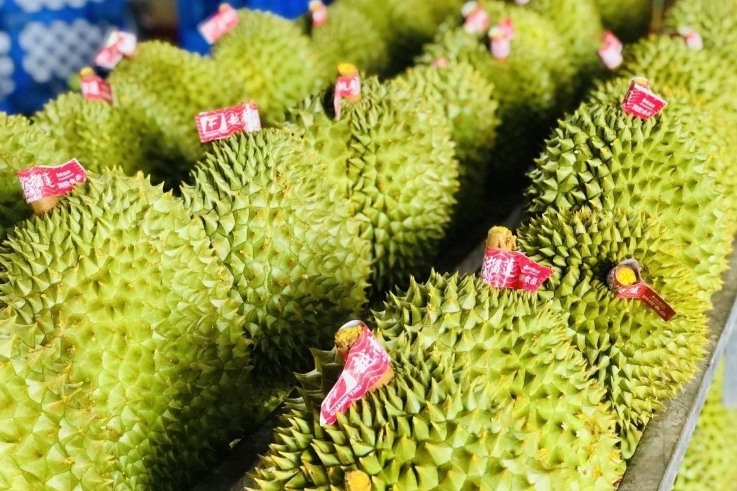 Sầu riêng Malaysia xuất khẩu sang Trung Quốc bằng đường biển: Thách thức cho Việt Nam