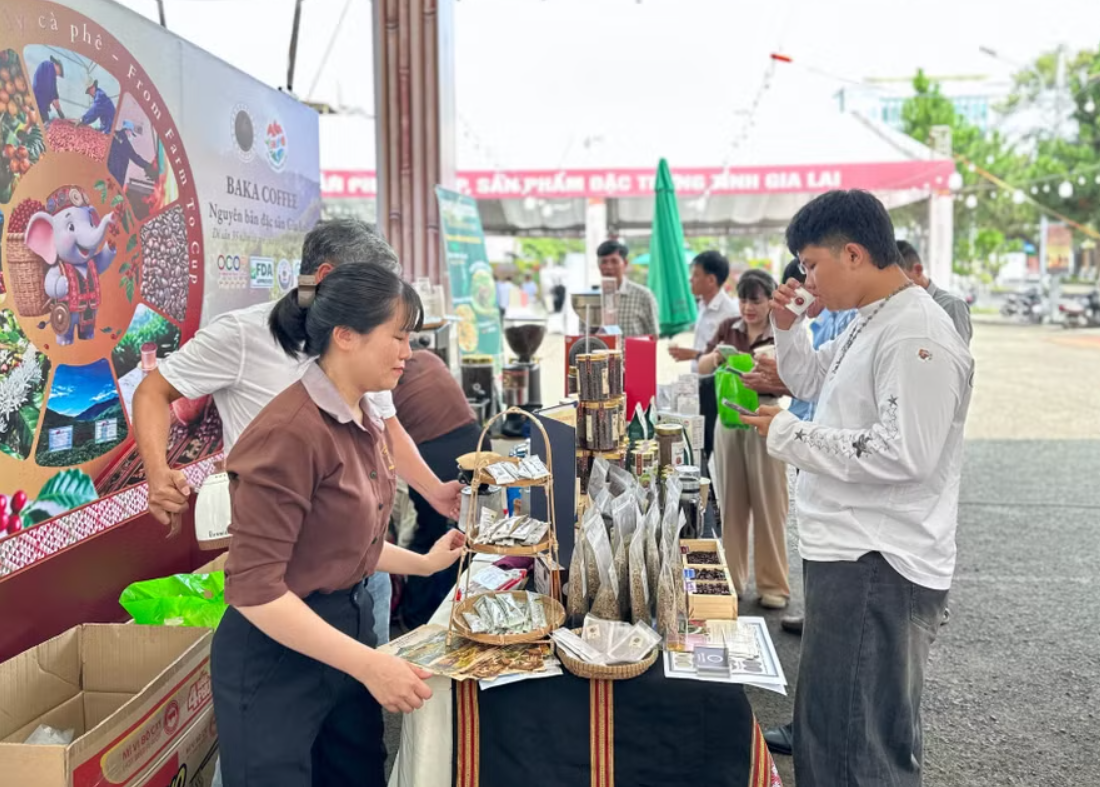 Khám phá trọn vẹn giá trị cà phê Gia Lai qua trải nghiệm thực tế