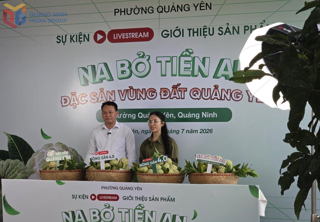 Quảng Yên đưa na bở Tiền An lên sóng livestream, lan tỏa thương hiệu đặc sản Quảng Yên đưa na bở Tiền An lên sóng livestream, lan tỏa thương hiệu đặc sản