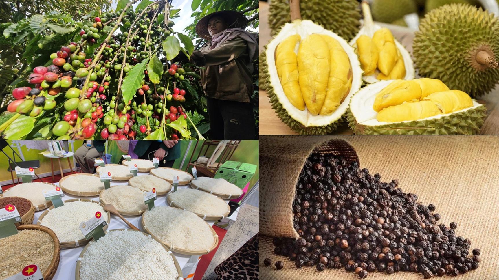 Đề xuất Luật Giao dịch hàng hóa phái sinh: Hoàn thiện thể chế cho thị trường quản trị rủi ro giá