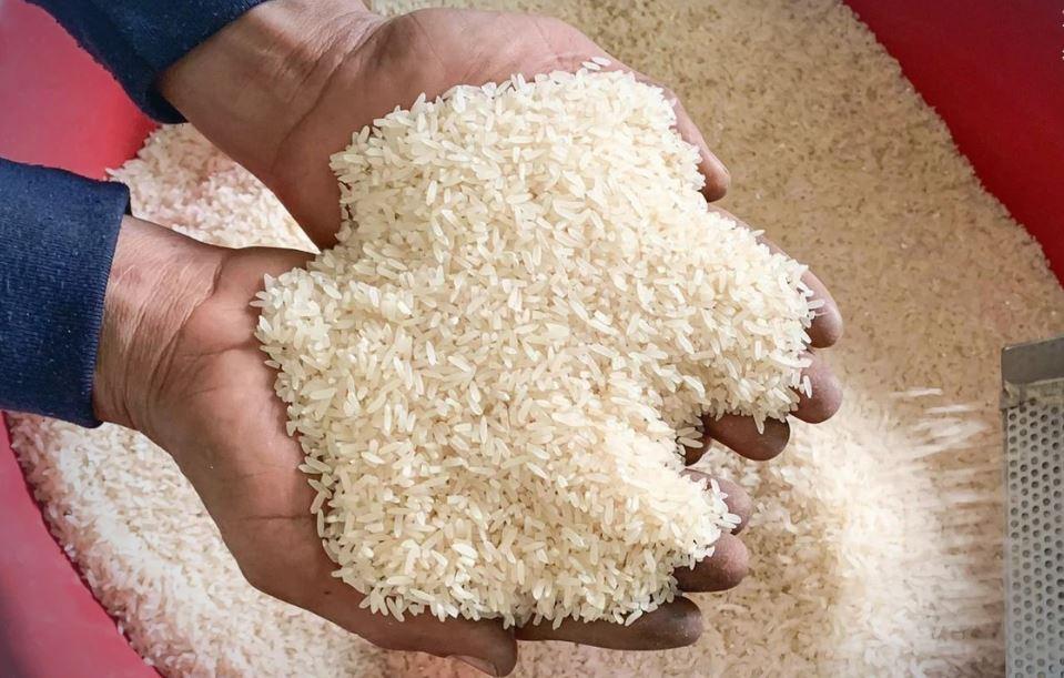 Gạo tấm Việt Nam chiếm lĩnh kệ siêu thị tại Senegal