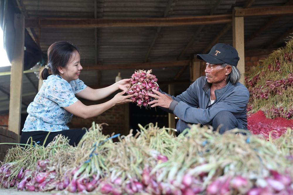 Hành tím được mùa được giá giúp nông dân tăng thu nhập